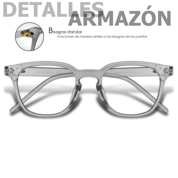 20395 GRIS