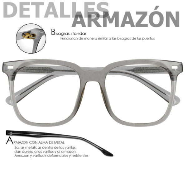 RD92113 GRIS