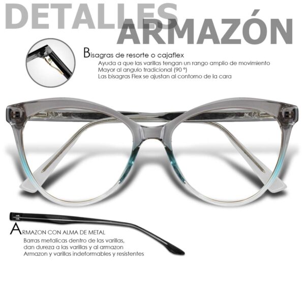 LT2011 GRIS