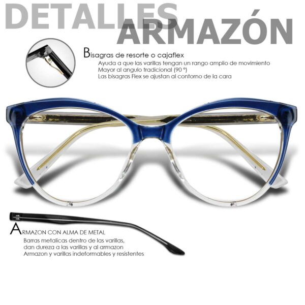 LT2011 AZUL MARINO