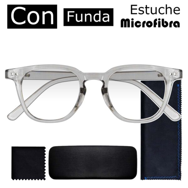 20394 GRIS