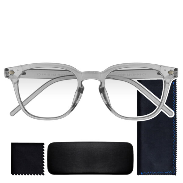 20395 GRIS
